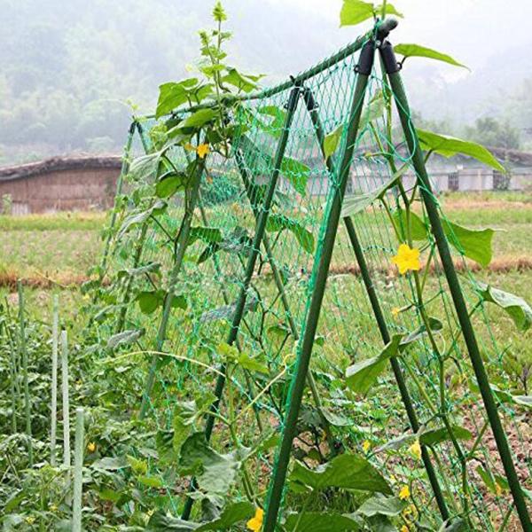 つる栽培ネット 家庭菜園  野菜栽培 トレリスネット  ナイロン つるネット 園芸ネット