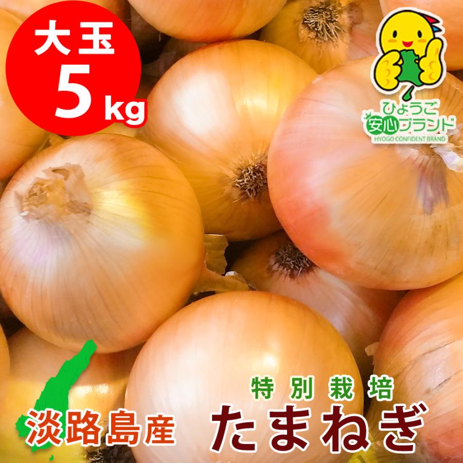 玉ねぎ 野菜 淡路島産 たまねぎ 大玉 5kg 特別栽培 業務用 減農薬 有機肥料使用 産地直送 お取り寄せ あさひサンファーム 中生 晩生 おまかせ