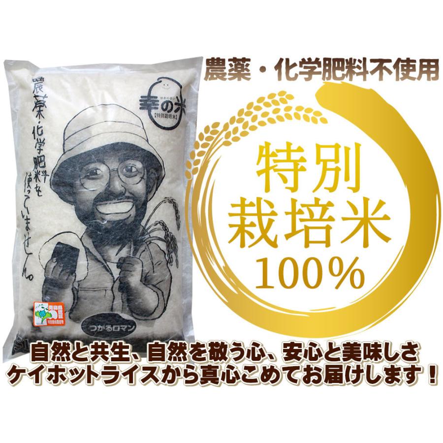 農薬不使用 無農薬 米 青森県産 つがるロマン 幸の米農園  2023年度産[※SP]