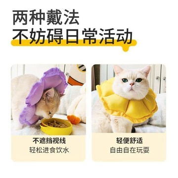 伊麗莎白貓圈大直徑防抓防水寵物輕薄貓咪絕育小狗恥辱頭套軟圈 臺灣出貨