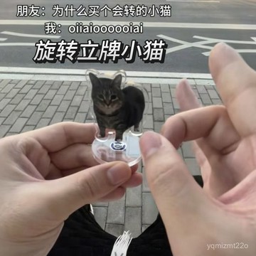 台灣出貨 迷因貓 旋轉立牌 oiia貓 壓克力 旋轉貓立牌 桌上擺飾 腦桌擺飾 汽車擺飾 機車擺飾 桌麵擺件 BAXI