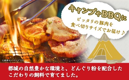 「どんぐりの恵み豚」キャンプ飯3.6kgセット_17-1104_(都城市) 都城産豚 どんぐりの恵み ロースステーキ バラワイルド焼肉 肩ロース焼肉 モモ焼きそば用 ウデ大判スライス スペアリブ焼肉 真空包装 3.6キロ 200g 300g BBQ キャンプ