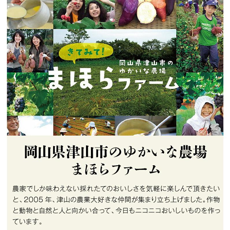 肉まん 冷凍 取り寄せ 津山饅3種9個 黒豚 干し肉 和牛すじ肉 岡山県産 津山 まほらファーム ギフト 産直 冷凍便 同梱不可 指定日不可