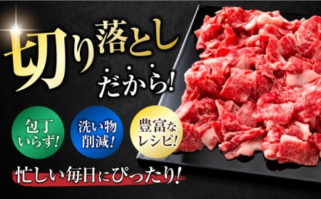 佐賀牛 切り落とし 計 600g （ 150g ×4パック） 吉野ヶ里町 一ノ瀬畜産[FDC008]