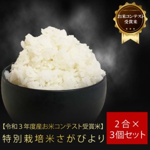  お試し 特別栽培米 さがびより2合×3個セット米 さがびより 佐賀県産米 減農薬 しもむら農園 お