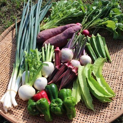 ふるさと納税 佐賀市 佐賀産季節の旬野菜　10種類