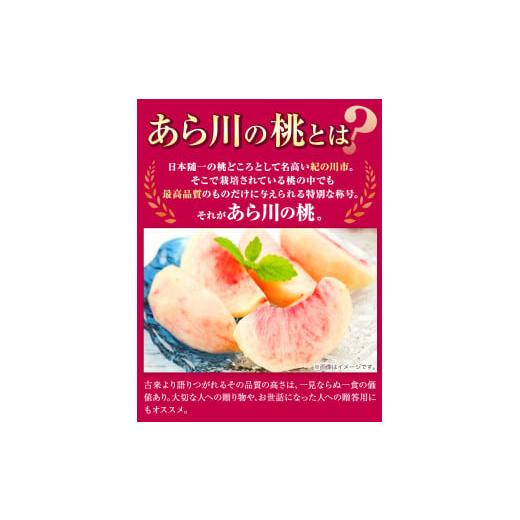 ふるさと納税 和歌山県 紀の川市 和歌山県産 あら川の桃 約2kg(6-8玉入り) お届け時期に合わせた品種を厳選してお届けいたします！《2024年6月中旬-8月中旬頃…