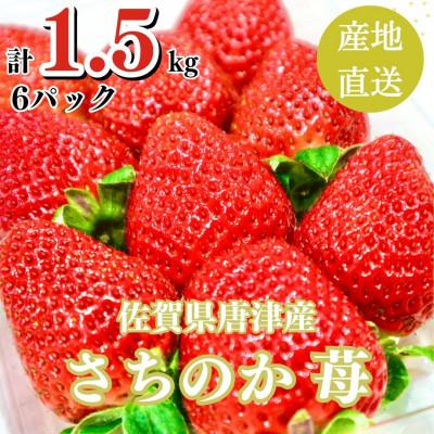 ふるさと納税 唐津市 1.5kg 山の斜面で日光を浴びたビタミンC豊富な苺!2024年3月より順次発送