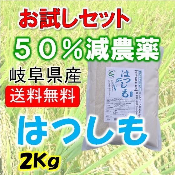 令和５年産 特別栽培米 岐阜県産 ハツシモ 白米２Kg 北海道・沖縄・離島は追加送料