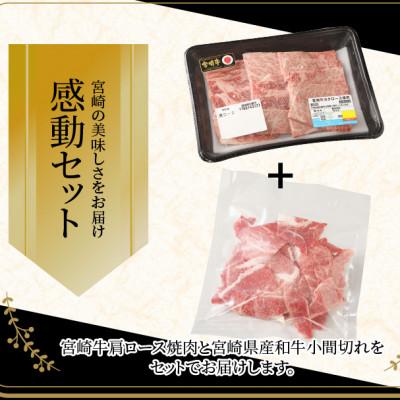 ふるさと納税 木城町 宮崎牛肩ロース焼肉300g　宮崎県産和牛小間切れ100g (木城町)