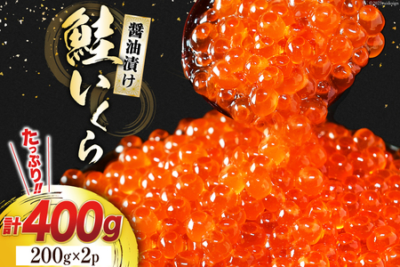 鮭 いくら 醤油漬け 計400g (200g×2p) [宮城東洋 宮城県 気仙沼市 20562762] 魚介 イクラ さけ サケ 鮭 冷凍 小分け 醤油 鮭卵 鮭いくら