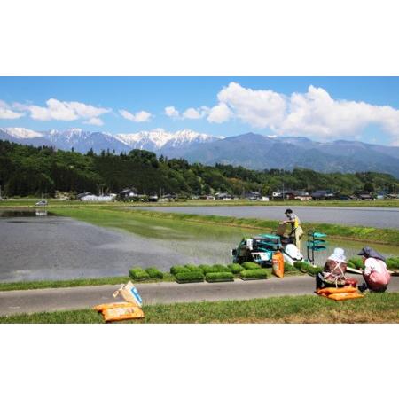 ふるさと納税 長野県産「あきたこまち」（5kg×3回） 長野県駒ヶ根市