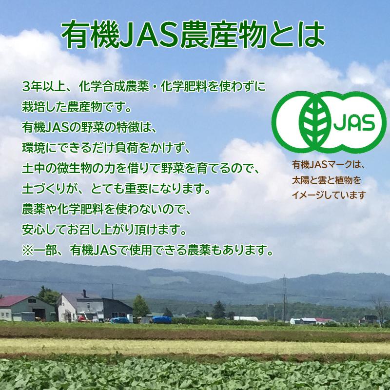 有機赤玉ねぎ 10kg箱 有機ＪＡＳ