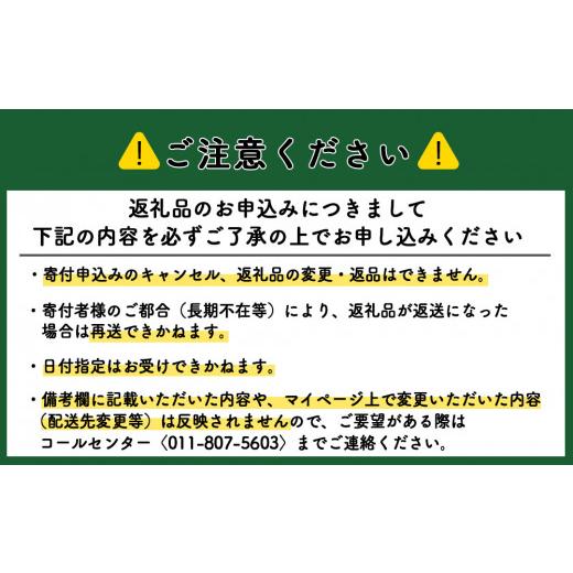 ふるさと納税 北海道 知内町 スモークサーモンスライス〈冷凍〉1.0kg(500g×2)