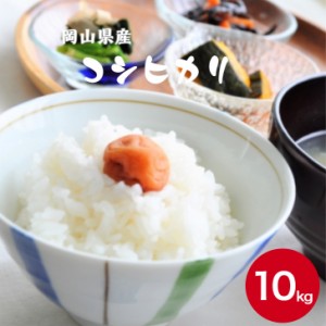 新米 米 10kg こめ お米 こしひかり 送料無料 お試し 令和5年産 岡山県産コシヒカリ 10kg(5kg×2袋)