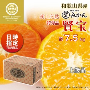 [予約 12月1日-12月20日の納品] 賢宝みかん マル賢みかん 約7.5kg SML 特秀 樹上完熟 和歌山 けんぽう 上級品 冬ギフト お歳暮 御歳暮