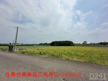 新市東大社有水電美農地｜台南市新市區豐華路