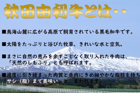 希少 秋田由利牛 国産黒毛和牛サーロインステーキ 真空冷凍 200g×4枚