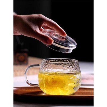 家用精致玻璃杯微波爐水杯高顏值輕奢杯子耐熱早餐杯茶杯防爆高級