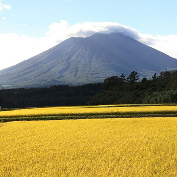 岩手県産 節減農薬栽培米ひとめぼれ 5kg