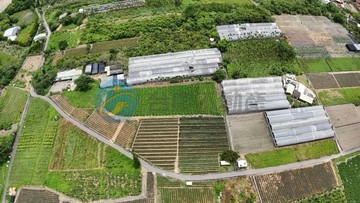 南投~名間5.9分超大面寬優質農地｜南投縣名間鄉虎子坑段