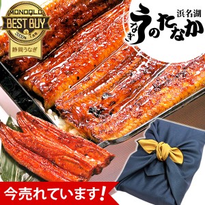 お歳暮 ギフト 国産 うなぎ 蒲焼き 送料無料 うなぎのたなか お祝い 誕生日プレゼント プレゼント グルメ 内祝い 土用の丑の日 お年賀 御