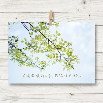 想想你也好 / 明信片 (L1)