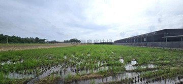 鄰近龍港大橋土壤肥沃地形方正面寬、路寬大車可進出｜屏東縣崁頂鄉港東段