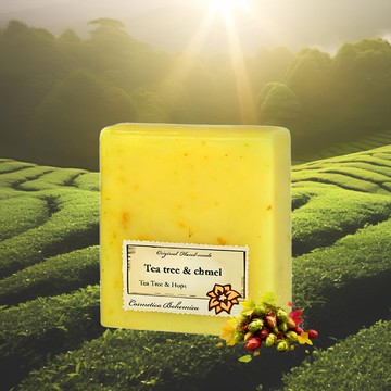 花醇姿影茶樹啤酒花植萃皂