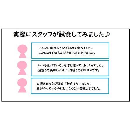 ふるさと納税 でかい！！計800ｇ以上！！焼きたて冷蔵直送便♪YS0006 佐賀県大町町