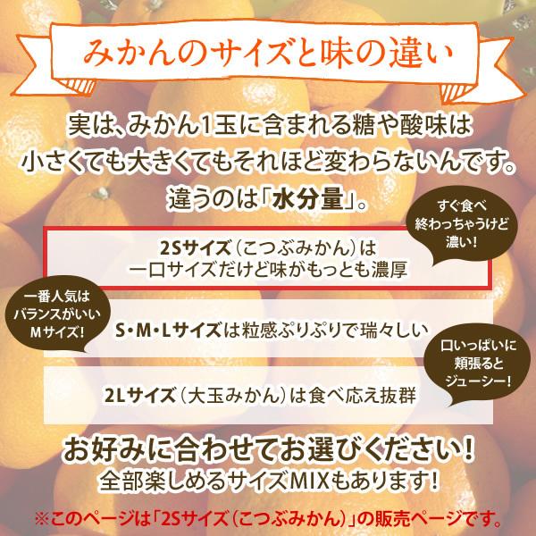 こつぶみかん 2kg (早生)甘味と酸味が調和したみかん (出荷:11月下旬-1月)