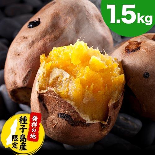 SALE さつまいも 訳あり 安納芋 種子島産 1.5kg 送料無料 2セットで1kgおまけ増量 スイーツ サイズ不揃い 1-5営業以内発送予定(土日祝除く)