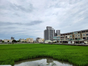✨️梧棲體育場旁超值建地，自建住辦、工作室✨️｜台中市梧棲區南簡段