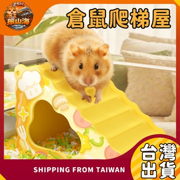 倉鼠爬梯屋 多功能躲避屋 小寵攀爬平台 防滑設計 可翻轉 小動物玩具 倉鼠躲避屋 倉鼠玩具 倉鼠平台