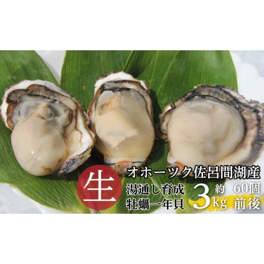 ふるさと納税 北海道 佐呂間町 湯通し育成カキ（一年貝）約3kg（60個前後） 佐呂間産  サロマ湖 北海道 オホーツク 佐呂間町 カキ 牡蠣 殻…