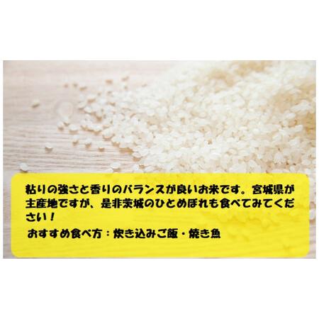 ふるさと納税 令和5年産 茨城ひとめぼれ 5kg 1袋 ひとめぼれ 白米 精米 ごはん お米 国産 茨城県産 守谷市 送料無料 茨城県守谷市