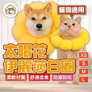 【防舔必備👍】伊莉莎白圈 防舔防咬頭套 可調節 絕育防護 羞恥圈 伊麗莎白頭套 寵物頭套 貓狗頭套 羞恥圈 寵物頭套