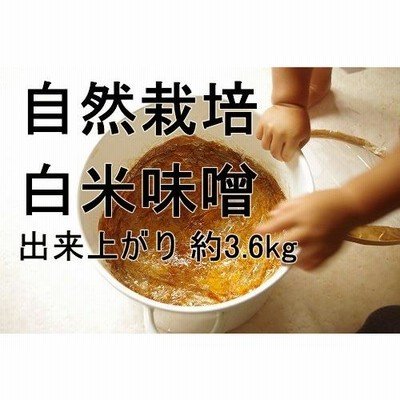 手作り味噌キット 自然栽培 米味噌（出来上がり量3.6kg）