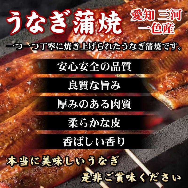 うなぎ ひつまぶし 蒲焼き 国産 愛知一色産 キザミうなぎ 5パックセット 50g×5食 山椒付き蒲焼きタレ×5個 個包装 真空パック 贈答