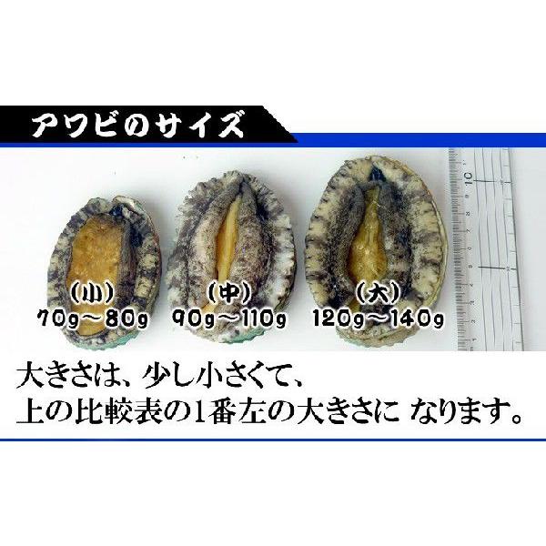 アワビ付プチ海鮮BBQセット（アワビ2個サザエ4個大アサリ4個）[魚介類]