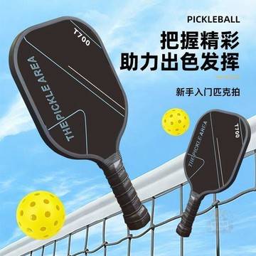 🎉限量優惠🎉成人匹克球拍匹克球全套新手入門戶外運動初學者木拍Pickleball