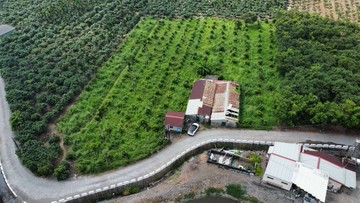 新埤超便宜農作用地｜屏東縣新埤鄉餉潭段
