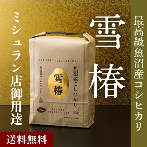 米 お米 5kg 令和5年産 魚沼産コシヒカリ （最高級） 「雪椿」 特別栽培米 魚沼産こしひかり 白米 贈答用 お祝い ブランド米 ギフト 内祝い 送料無料 プレゼント