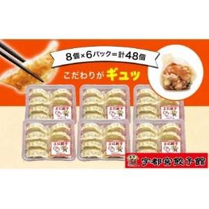 ふるさと納税 「宇都宮餃子館」のエビ餃子 8個入り×6パック(計48個) 栃木県宇都宮市