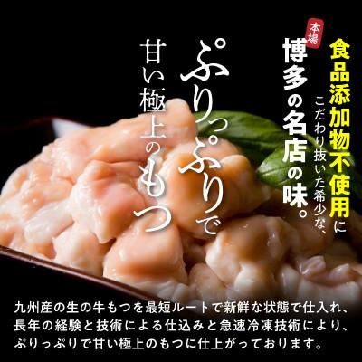 ふるさと納税 上毛町 国産・食品添加物不使用　もつ鍋セット(約2人前)　だし塩味