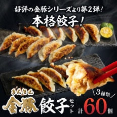 金豚餃子セット(香港餃子・しそ餃子・にら餃子)1パック10個入×各2パック　計60個