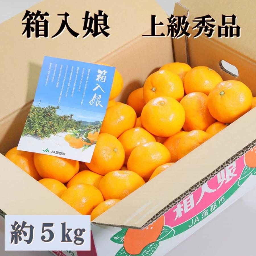 お歳暮 ギフト 2023 愛知県産 箱入娘 上級秀品 約5kg 箱 みかん 蜜柑 愛媛 グルメ セット 詰合せ 贈答品