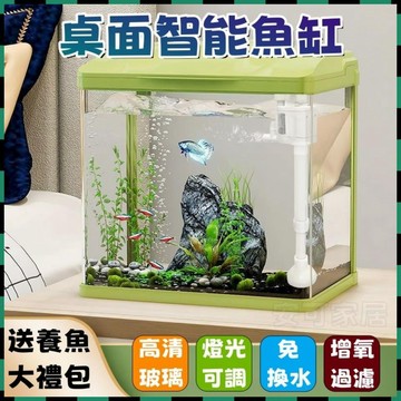 安可🔥免運🚀桌面魚缸 高透玻璃魚缸 迷你一體式魚缸 小型智能魚缸 懶人魚缸 免換水熱帶魚缸 孔雀魚缸 短鯛缸 循環魚缸