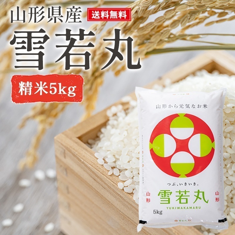 米 5kg 新米 雪若丸 精米 山形県産 令和5年産 ギフト 単一原料米 ブランド米 こめ コメ 白米 産地直送 kkb-005