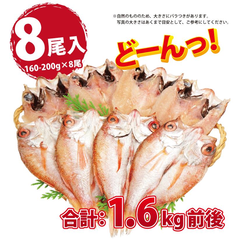 のどぐろ 魚 干物  160-200g×8枚 セット ノドグロ 干物セット 無添加 一夜干し魚 ((冷凍)) プレゼント ギフト